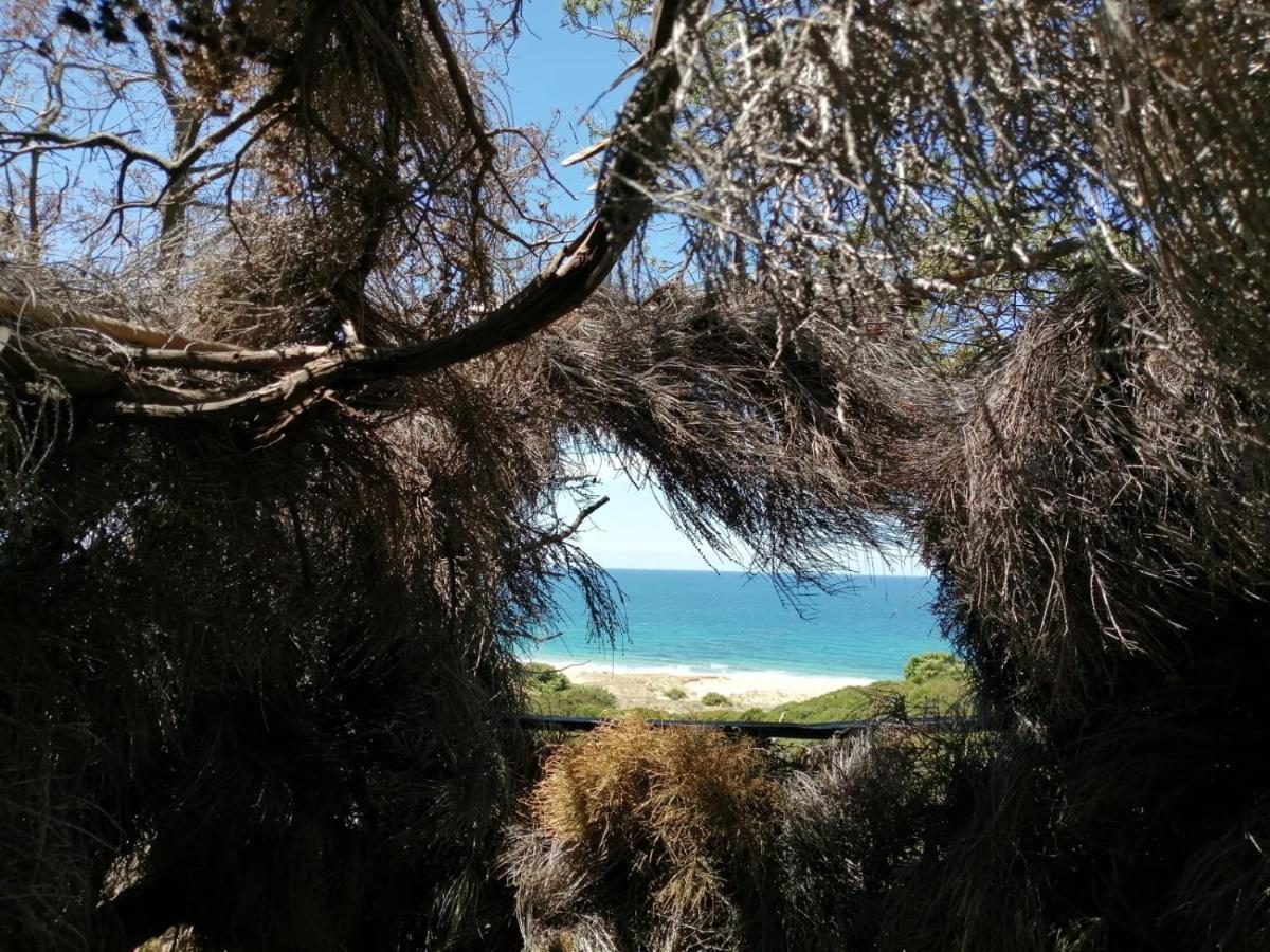 Villa Margherita Vista Mare Torre dei Corsari Buitenkant foto